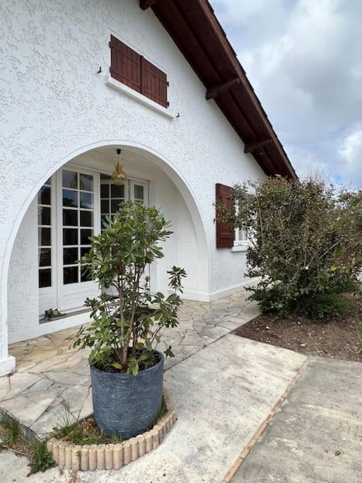 Agreable Maison Landaise Proche Du Lac Sanguinet Exteriér fotografie